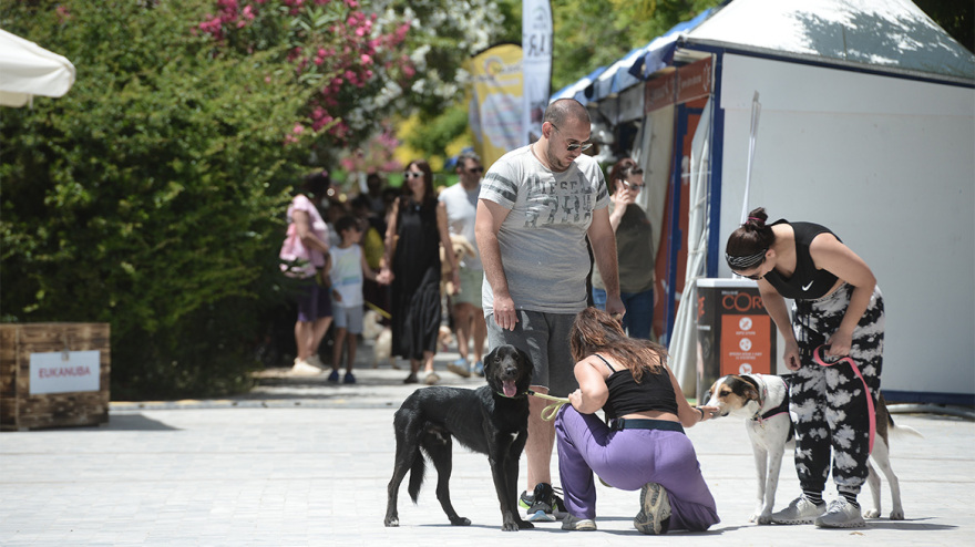 Woof Festival: Με μεγάλη επιτυχία διεξήχθη η μεγάλη γιορτή της φιλοζωίας που διοργάνωσε το topetmou.gr