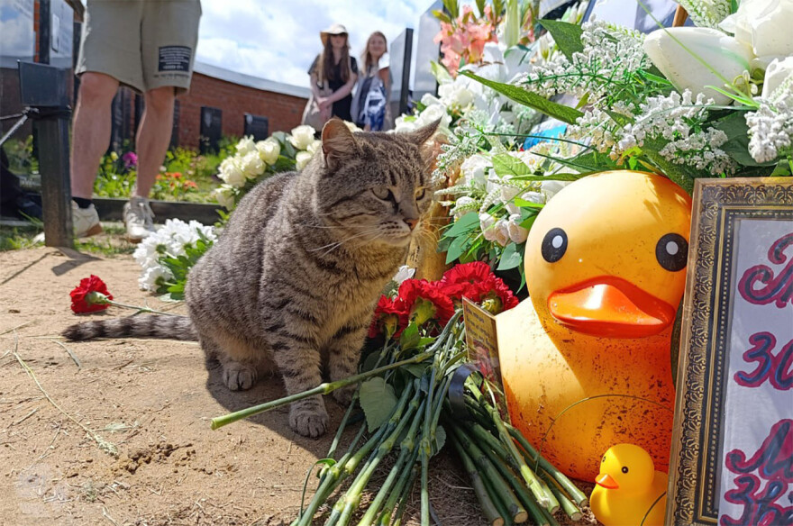 Εκδηλώσεις μνήμης για την επέτειο των γενεθλίων του Ναβάλνι στη Ρωσία και στο εξωτερικό
