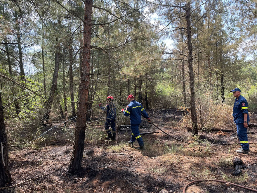 Θεσσαλονίκη: Κακουργηματική δίωξη στον 25χρονο για τη φωτιά στο Σέιχ Σου - «Άγνωστοι με έγδυσαν και μου έβαλαν φωτιά»