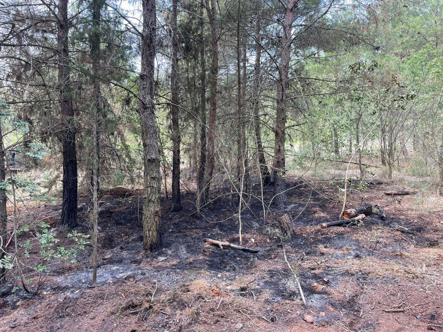 Θεσσαλονίκη: Κακουργηματική δίωξη στον 25χρονο για τη φωτιά στο Σέιχ Σου - «Άγνωστοι με έγδυσαν και μου έβαλαν φωτιά»