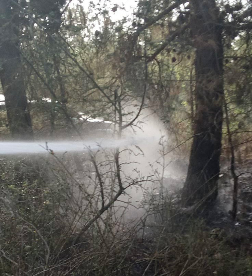 Θεσσαλονίκη: Φωτιά στο Σέιχ Σου - Προσήχθη ένα άτομο