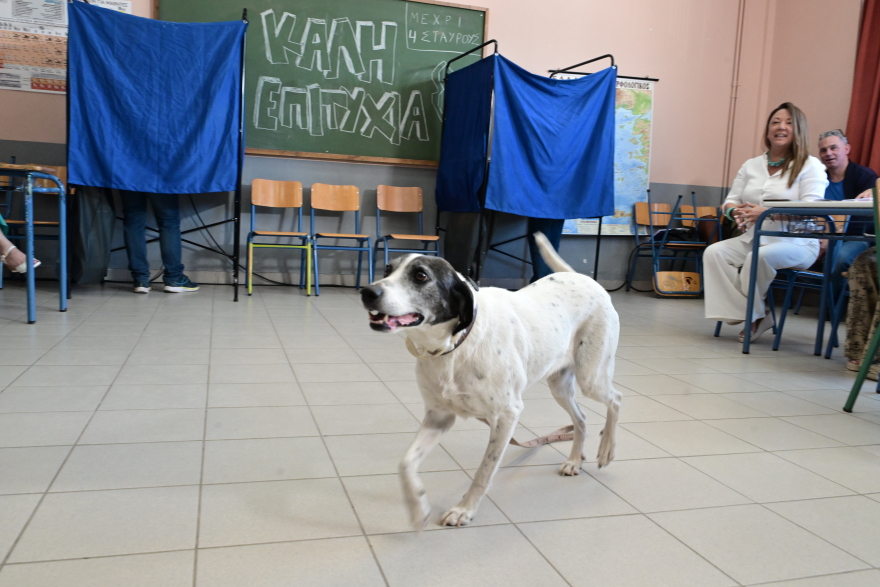 Ευρωεκλογές: Με σκυλιά, ποδήλατα και... τρακτέρ πήγαν να ψηφίσουν - Δείτε φωτογραφίες 