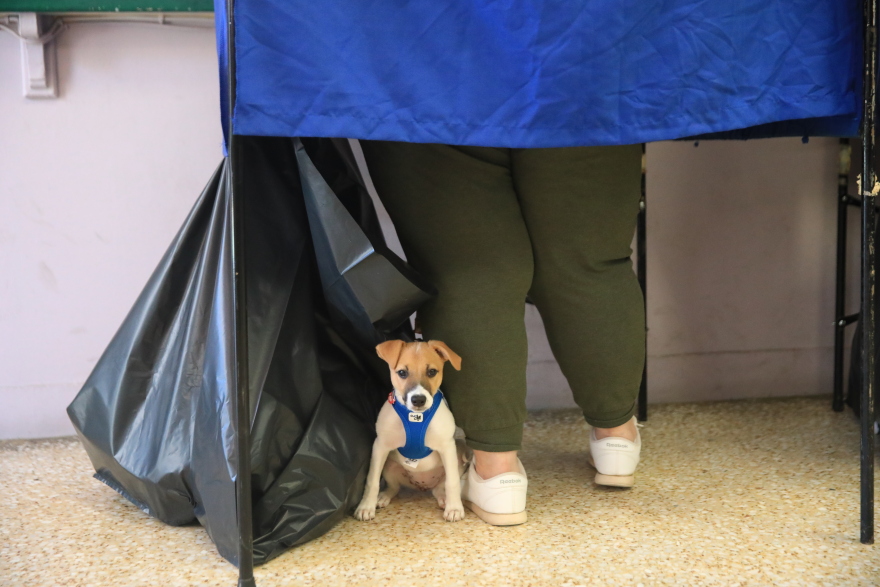 Ευρωεκλογές: Με σκυλιά, ποδήλατα και... τρακτέρ πήγαν να ψηφίσουν - Δείτε φωτογραφίες 