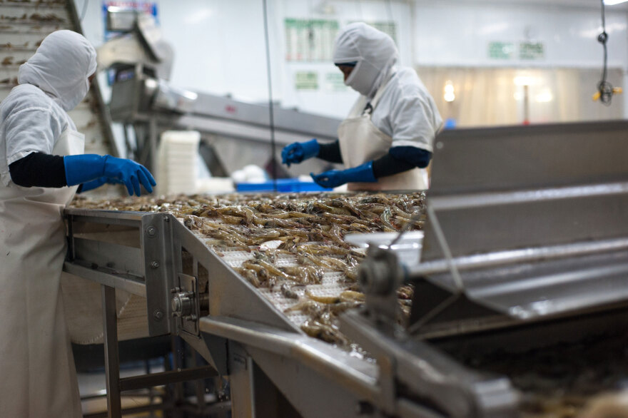 Πόσο υγιεινό είναι τελικά να τρώμε γαρίδες, για εμάς και για το περιβάλλον;