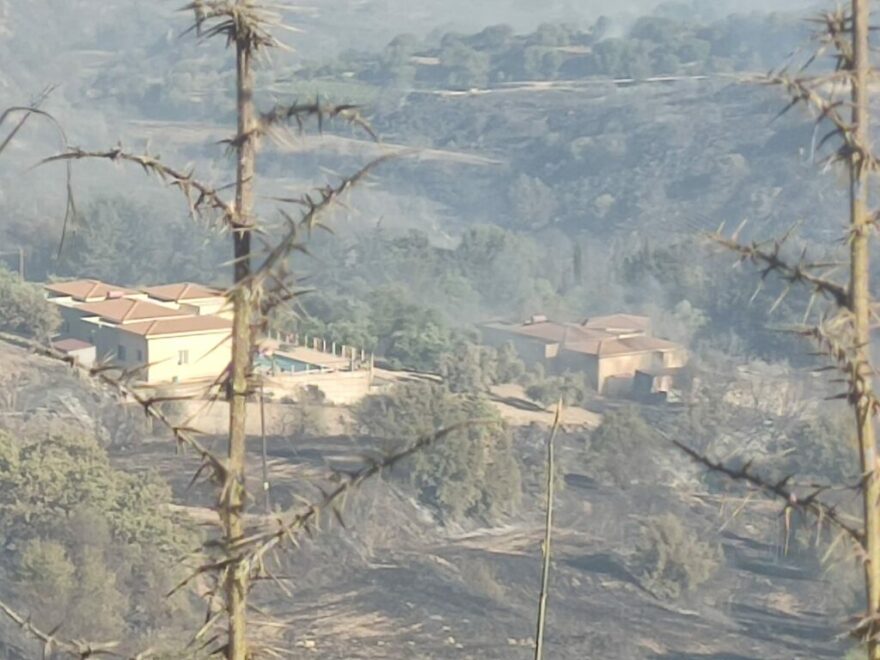 Κύπρος: Νύχτα αγωνίας στην Πάφο, συνεχίζεται η πύρινη κόλαση - Έχουν καεί σπίτια, δείτε βίντεο και φωτογραφίες