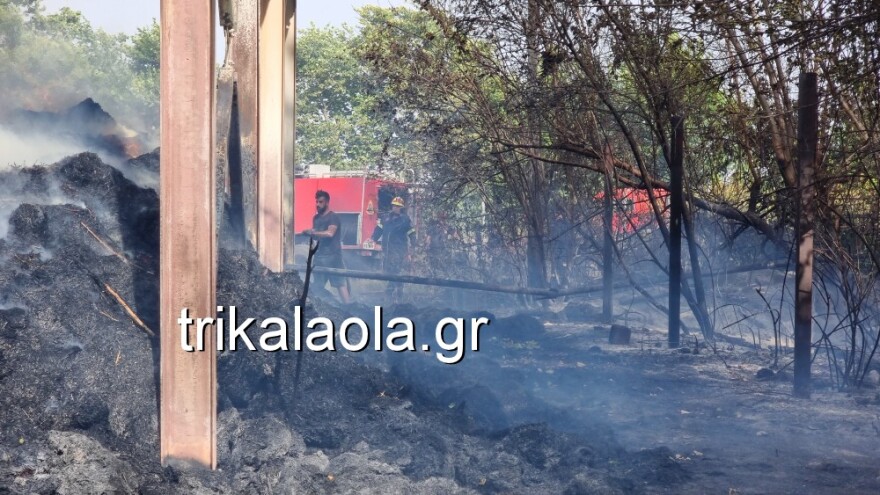 Τρίκαλα: Φωτιά έκαψε κτηνοτροφική μονάδα με ζώα μέσα - Δείτε βίντεο και φωτογραφίες