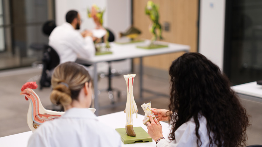 Ανοίγει τις πύλες της η υπερσύγχρονη  Κτηνιατρική Σχολή του Ευρωπαϊκού Πανεπιστήμιου Κύπρου