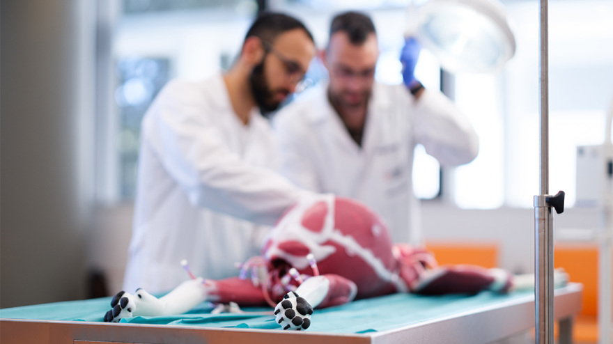 Ανοίγει τις πύλες της η υπερσύγχρονη  Κτηνιατρική Σχολή του Ευρωπαϊκού Πανεπιστήμιου Κύπρου