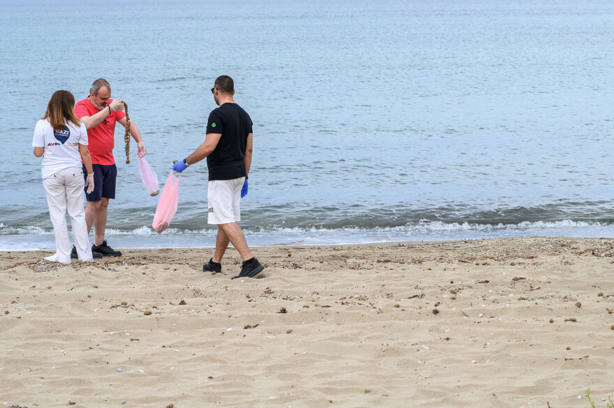 Τέσσερα χρόνια τώρα, κάθε καλοκαίρι η AVIN πάει PARALIES