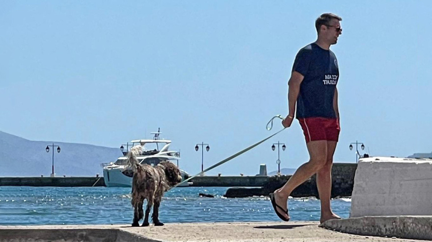 Χαλαρό σαββατοκύριακο στις Σπέτσες για τον Στέφανο Κασσελάκη - Βόλτα με τη Φάρλι στην παραλία
