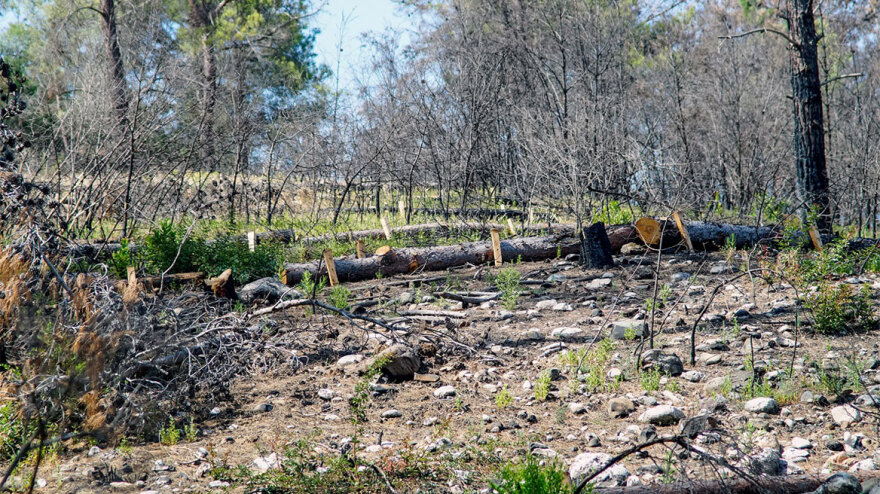 Η Nova παρέδωσε το έργο αποκατάστασης πυρόπληκτων περιοχών στη Ρόδο