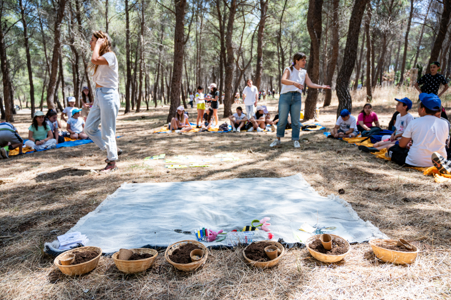 Τα παιδιά μαθαίνουν πώς οι μέλισσες βοηθούν το περιβάλλον