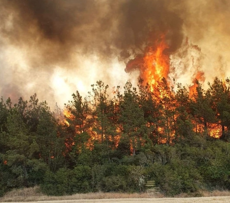 Καλύτερη η εικόνα της φωτιάς στη Βόλβη Θεσσαλονίκης