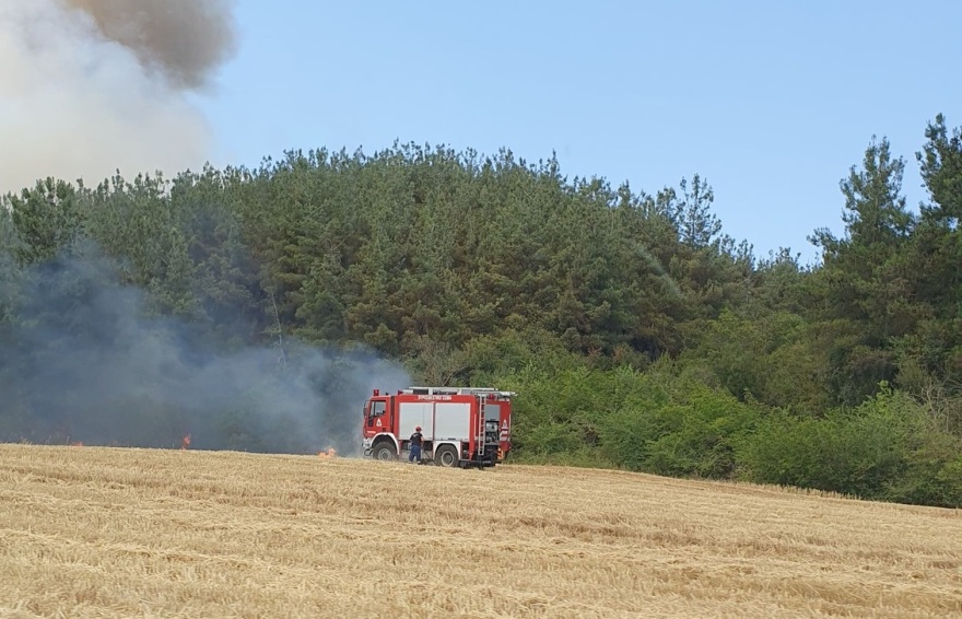 Καλύτερη η εικόνα της φωτιάς στη Βόλβη Θεσσαλονίκης