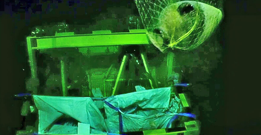 Ισραήλ: Βρέθηκε το αρχαιότερο ναυάγιο - To πλοίο είχε βυθιστεί πριν από 3.300 χρόνια