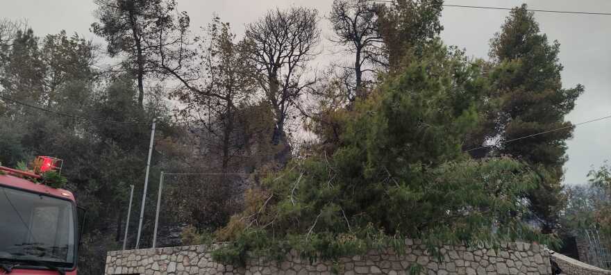 Στις αυλές των σπιτιών κοιμήθηκαν οι κάτοικοι στα Χανάκια Ηλείας μετά τη φωτιά - Ζημιές στο σπίτι του Τζόρτζεβιτς
