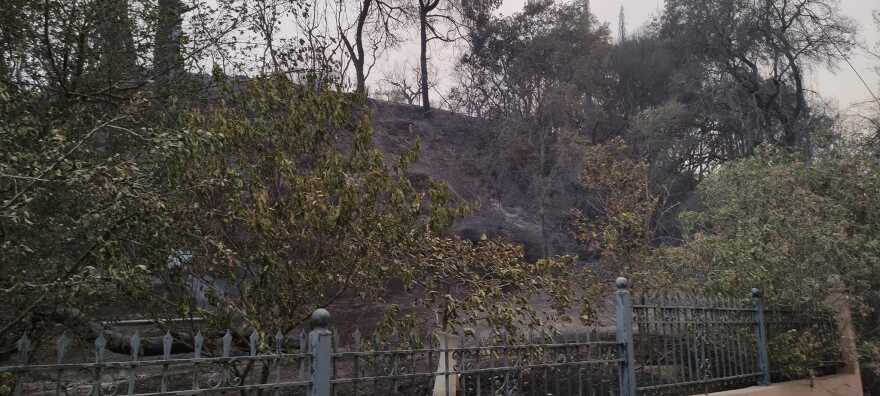 Στις αυλές των σπιτιών κοιμήθηκαν οι κάτοικοι στα Χανάκια Ηλείας μετά τη φωτιά - Ζημιές στο σπίτι του Τζόρτζεβιτς