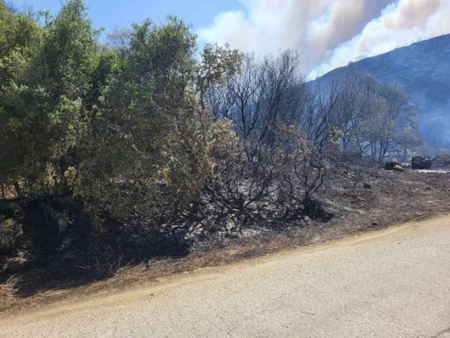 Μεγάλη φωτιά στην Αχαΐα, στον δήμο Ερυμάνθου - Τρεις φορές ήχησε το 112 για εκκένωση