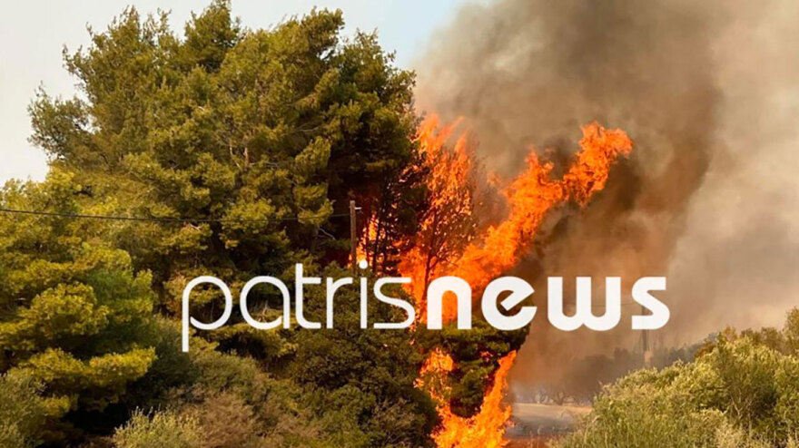 Κάηκε από τη φωτιά το σπίτι του Τζόρτζεβιτς - Διάσπαρτες εστίες και φόβοι για αναζωπυρώσεις στην Ηλεία