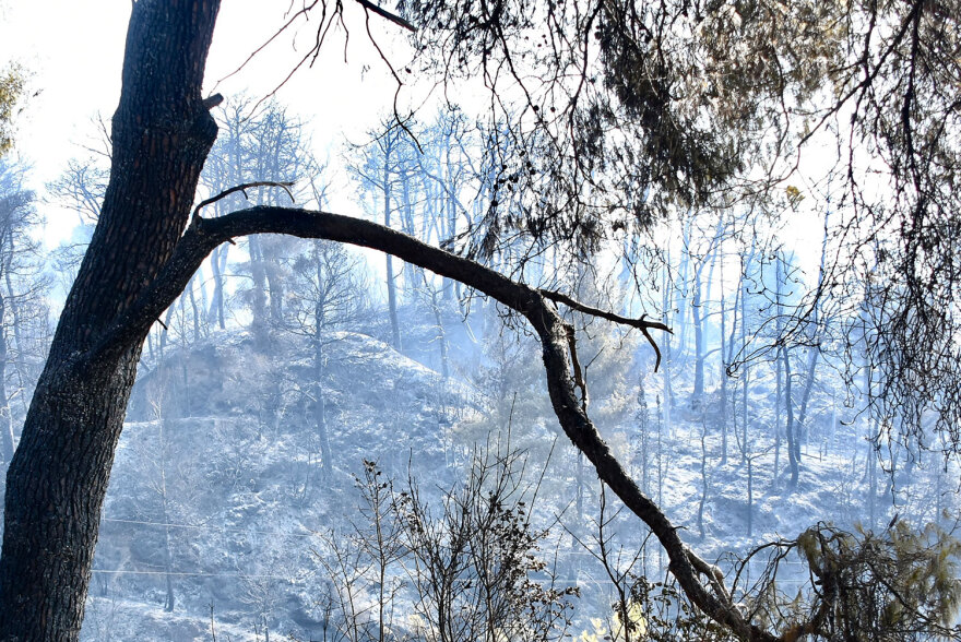 Κάηκε από τη φωτιά το σπίτι του Τζόρτζεβιτς - Διάσπαρτες εστίες και φόβοι για αναζωπυρώσεις στην Ηλεία
