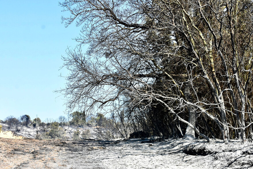 Κάηκε από τη φωτιά το σπίτι του Τζόρτζεβιτς - Διάσπαρτες εστίες και φόβοι για αναζωπυρώσεις στην Ηλεία