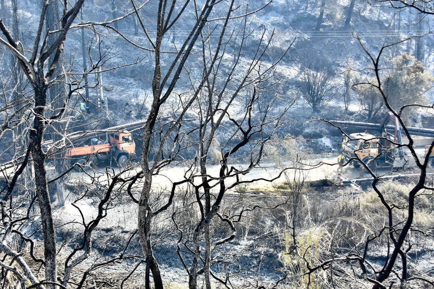 Κάηκε από τη φωτιά το σπίτι του Τζόρτζεβιτς - Διάσπαρτες εστίες και φόβοι για αναζωπυρώσεις στην Ηλεία