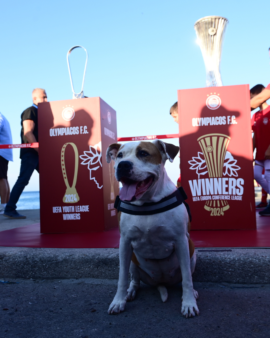 Ολυμπιακός: Στη Ρόδο τα ευρωπαϊκά τρόπαια - Βίντεο, φωτογραφίες 