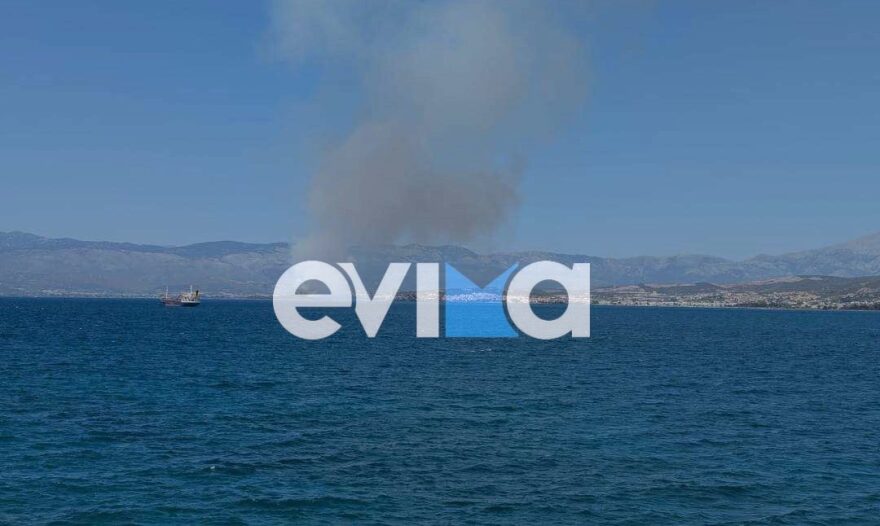 Οριοθετήθηκε η φωτιά στη Νέα Αρτάκη - Μήνυμα από το 112  για εκκένωση οικισμών