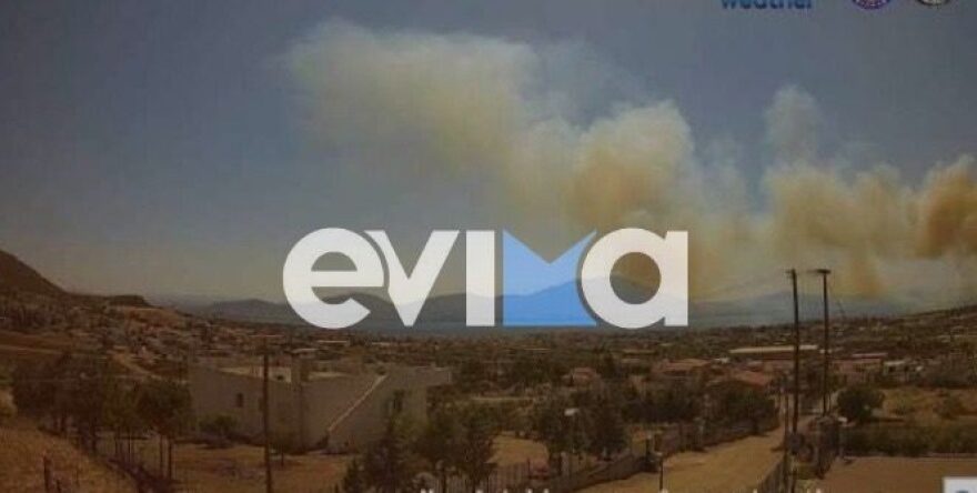 Οριοθετήθηκε η φωτιά στη Νέα Αρτάκη - Μήνυμα από το 112  για εκκένωση οικισμών