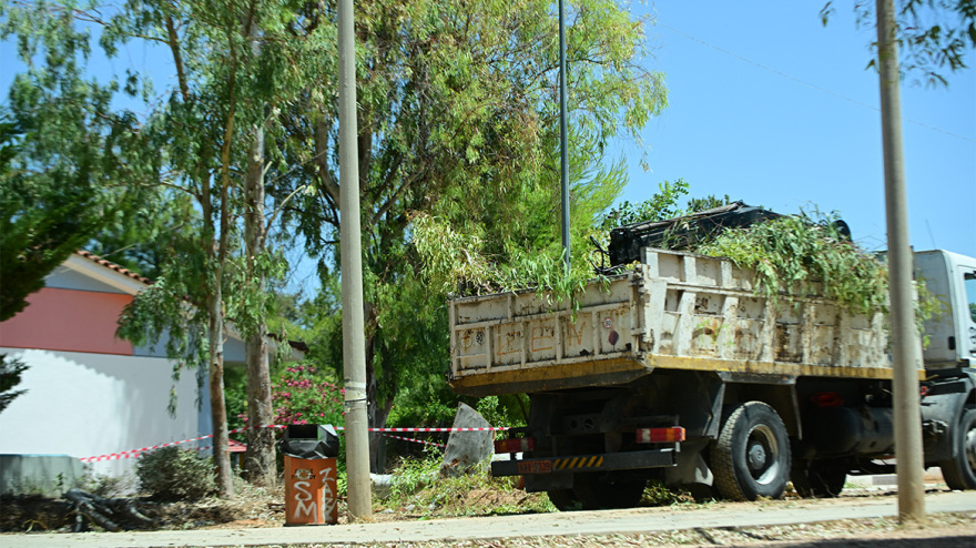 Παπάγου: Νεκρός 47χρονος δημοτικός υπάλληλος καταπλακώθηκε από δέντρο
