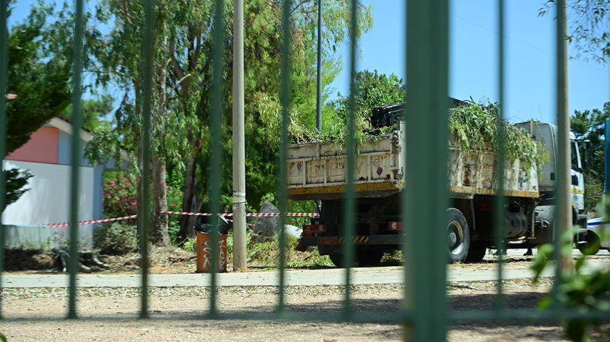 Παπάγου: Νεκρός 47χρονος δημοτικός υπάλληλος καταπλακώθηκε από δέντρο
