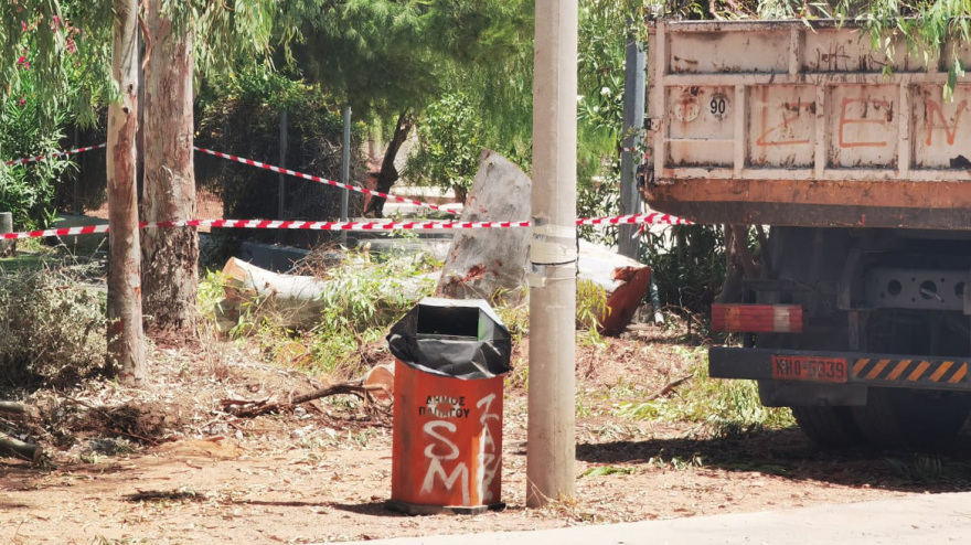 Παπάγου: Νεκρός 47χρονος δημοτικός υπάλληλος καταπλακώθηκε από δέντρο