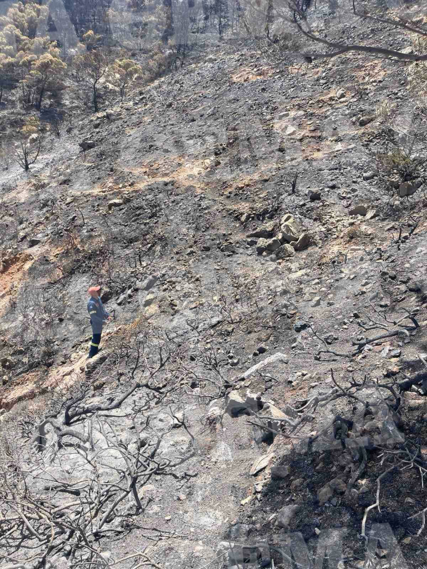 Ύδρα: Εντοπίστηκαν ίχνη από κροτίδες στην παραλία - Έκαναν αυτοψία την πέμπτη ημέρα μετά την πυρκαγιά!