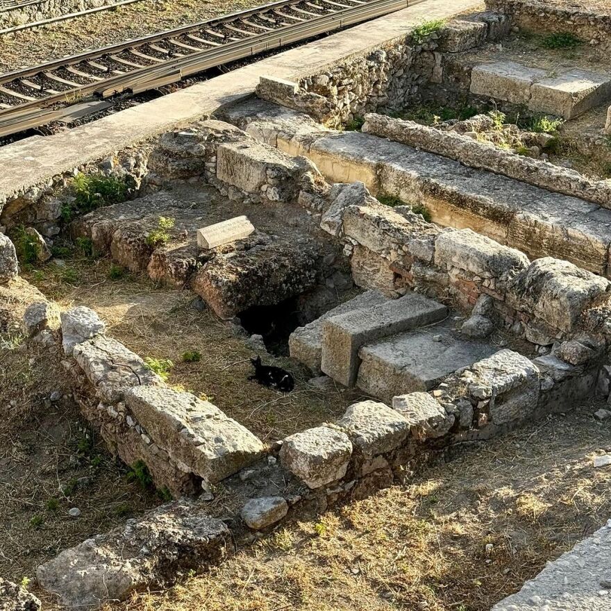 Μέι Μασκ: Μετά την επίσκεψή της στην Αθήνα, η μητέρα του Έλον Μασκ κάνει διακοπές στην Ίο