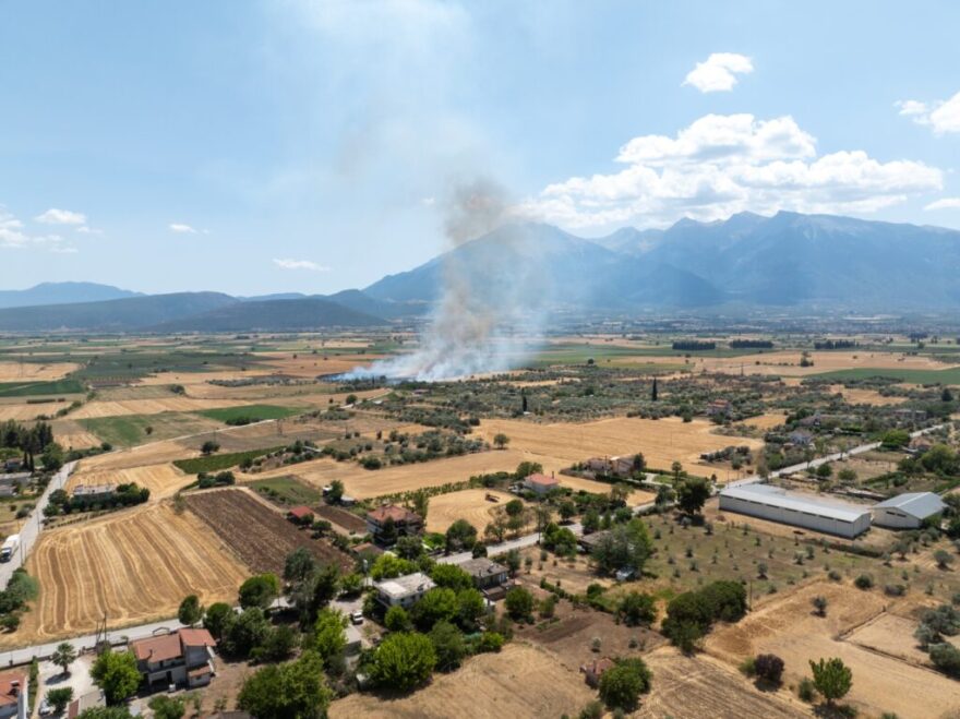 Υπό έλεγχο η φωτιά στην Ελάτεια της Λαμίας – Δείτε φωτογραφίες