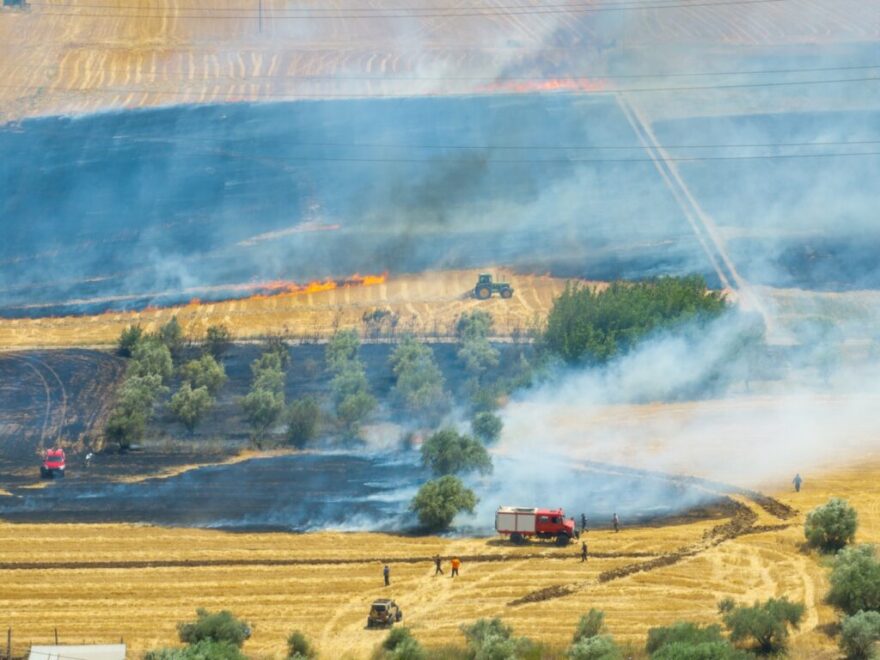 Υπό έλεγχο η φωτιά στην Ελάτεια της Λαμίας – Δείτε φωτογραφίες