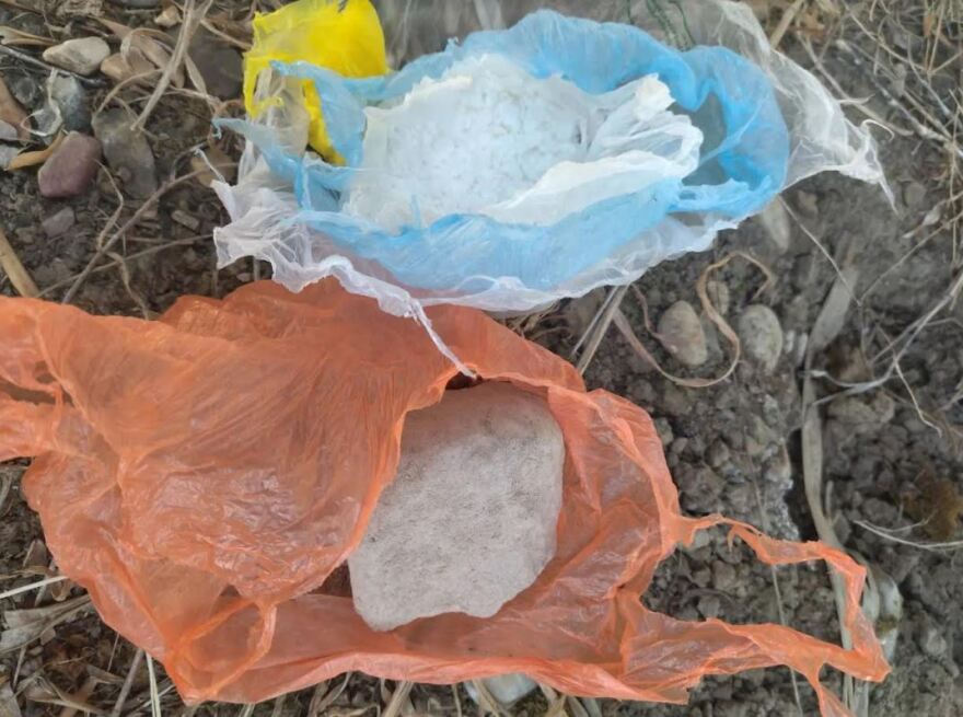 Ηλεία: Φυτεία με 500 γιγάντια χασισόδεντρα, ηρωίνη και κοκαΐνη - Οι δράστες θα έβαζαν στην τσέπη 450.000 ευρώ