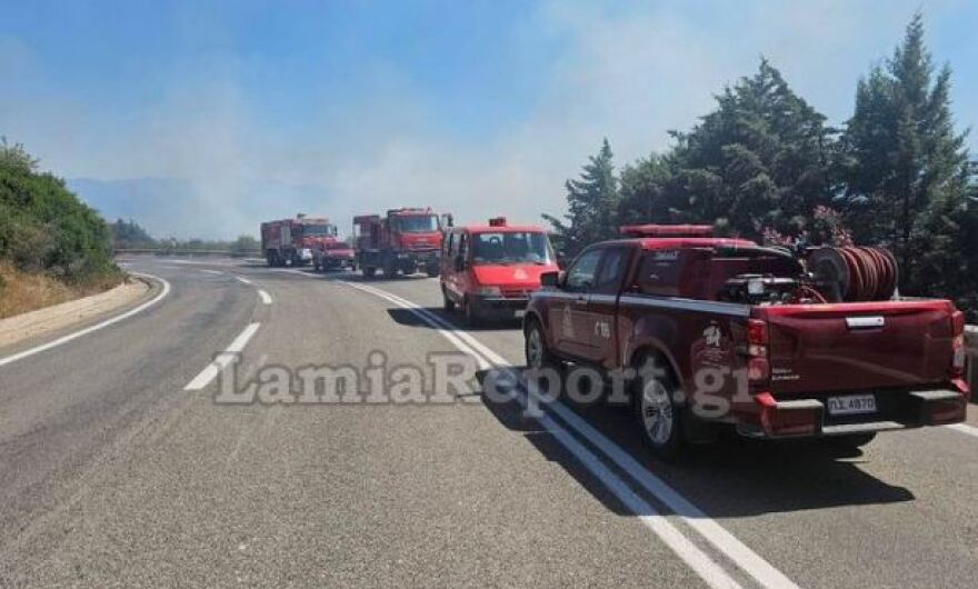 Λαμία: Υπό έλεγχο η φωτιά στην Καμηλόβρυση - Δείτε βίντεο, φωτογραφίες