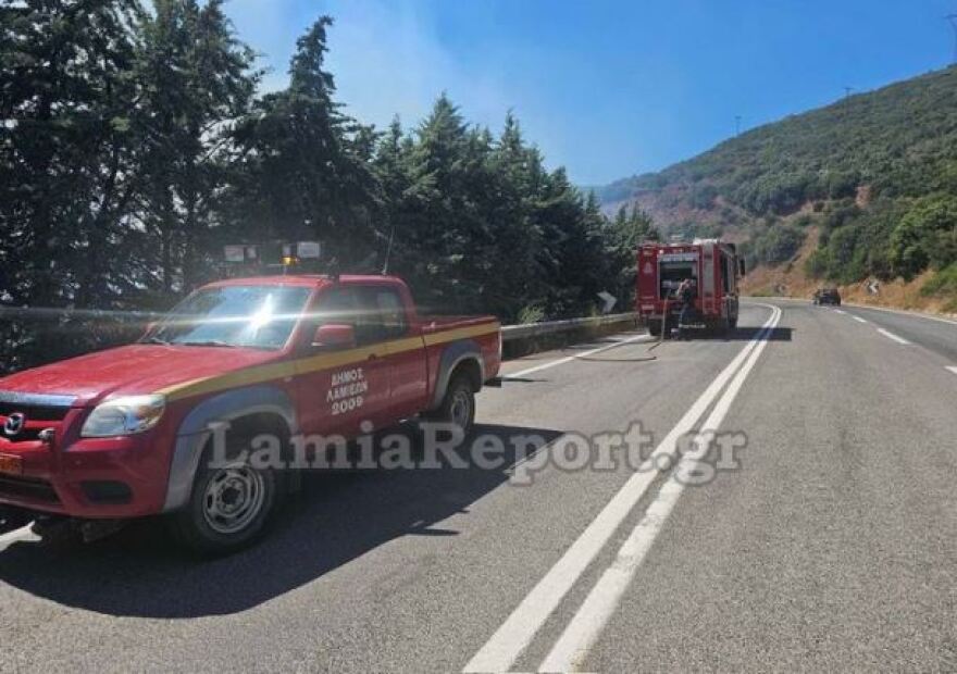 Λαμία: Υπό έλεγχο η φωτιά στην Καμηλόβρυση - Δείτε βίντεο, φωτογραφίες