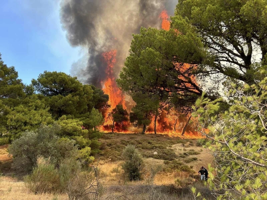Μεγάλη φωτιά στην Κερατέα - Eκκενώθηκαν 6 οικισμοί, ισχυροί άνεμοι - Δείτε βίντεο