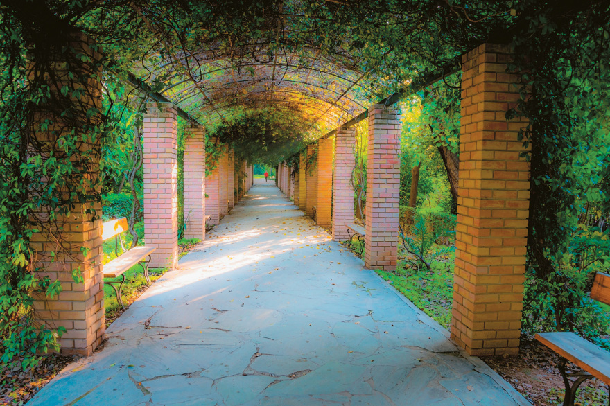 Εθνικός Κήπος: Η «πράσινη νησίδα» με το κρυφό ποτάμι σε ρόλο θερμοστάτη της Αθήνας