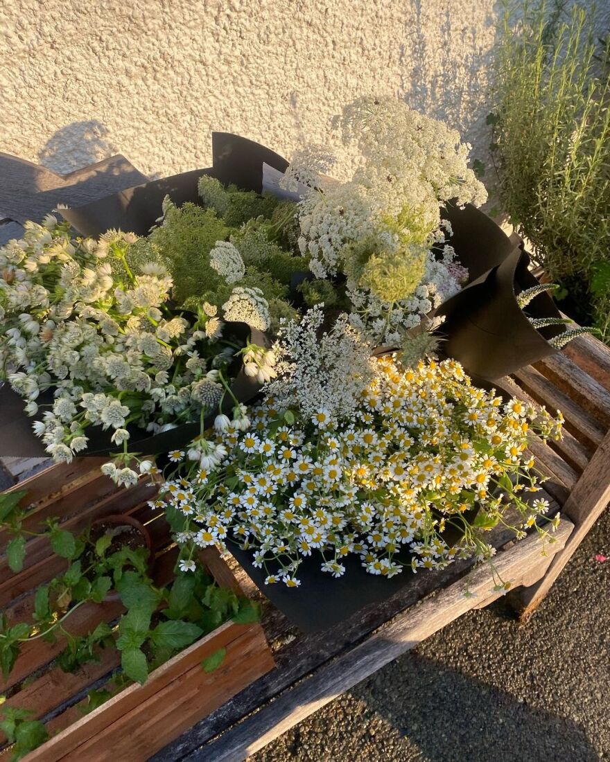 Πάμελα Άντερσον: Έκλεισε τα 57 - Πιο ευτυχισμένη από ποτέ, γράφει 