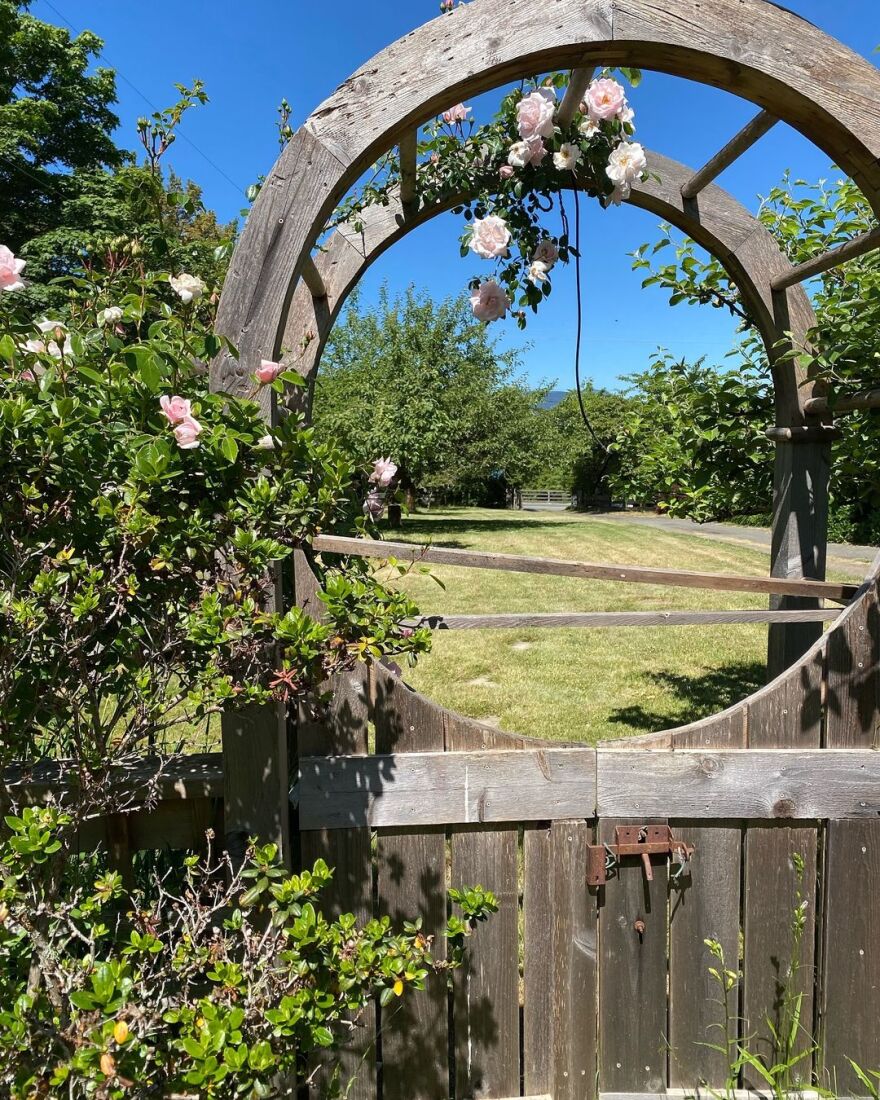 Πάμελα Άντερσον: Έκλεισε τα 57 - Πιο ευτυχισμένη από ποτέ, γράφει 