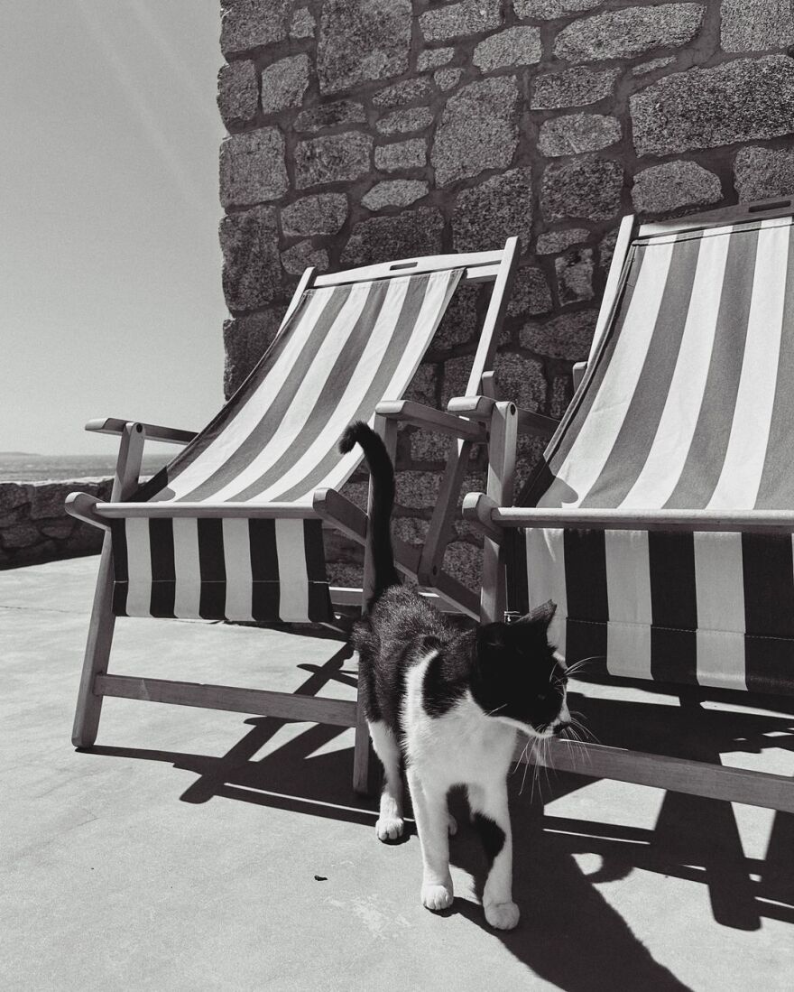 Ιζαμπέλ Γκουλάρτ: Οι νέες φωτογραφίες από τις διακοπές της στη Μύκονο