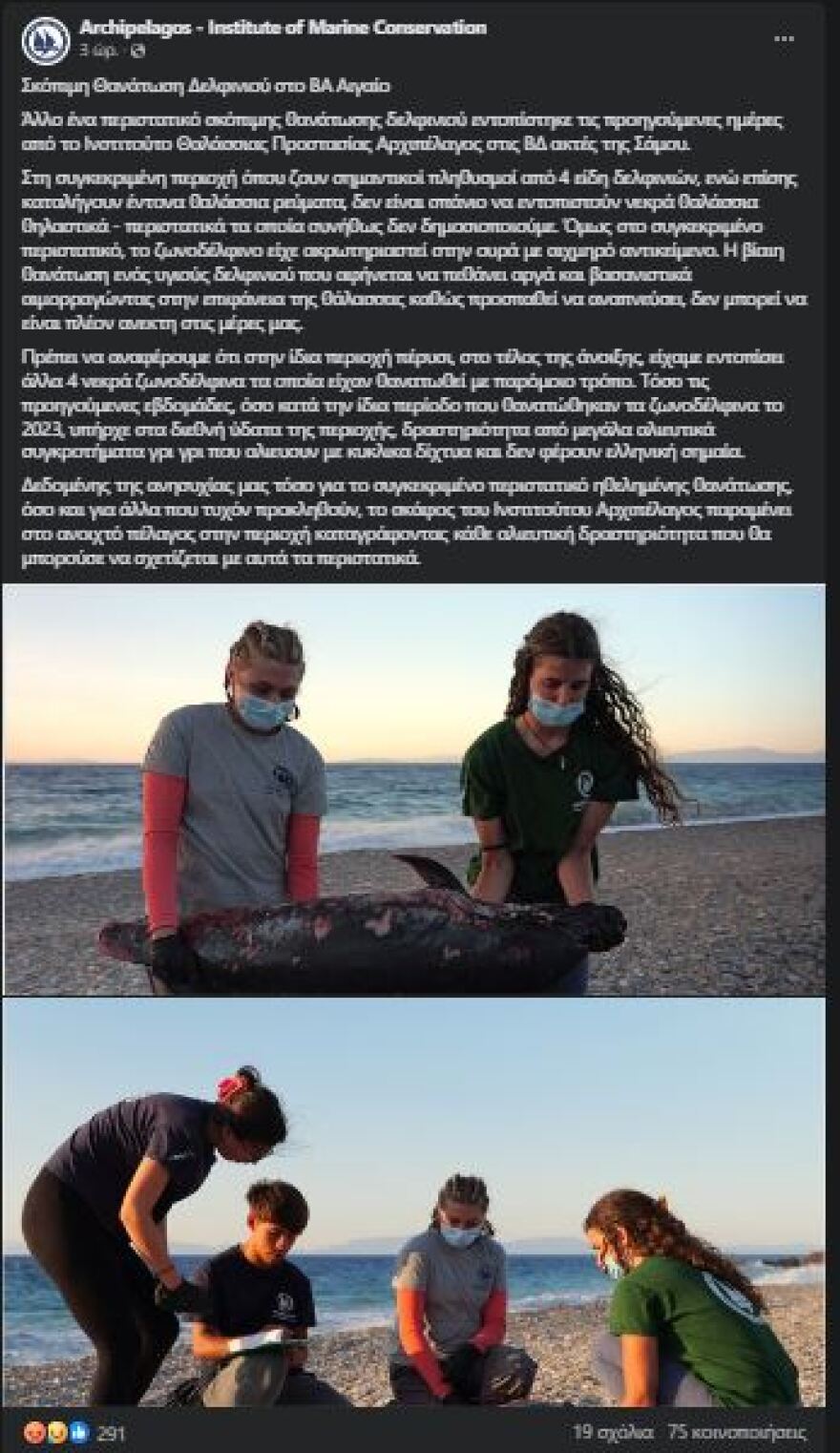 Σάμος: Νέα κτηνωδία με ακρωτηριασμένο δελφίνι - «Το άφησαν να πεθάνει από αιμορραγία»