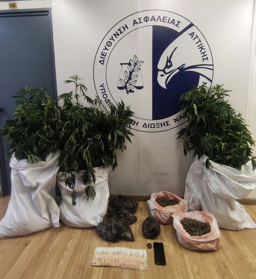 Ίλιον: Είχε στήσει εργαστήριο κάνναβης στο σπίτι του - Κατασχέθηκαν 22 δενδρύλλια