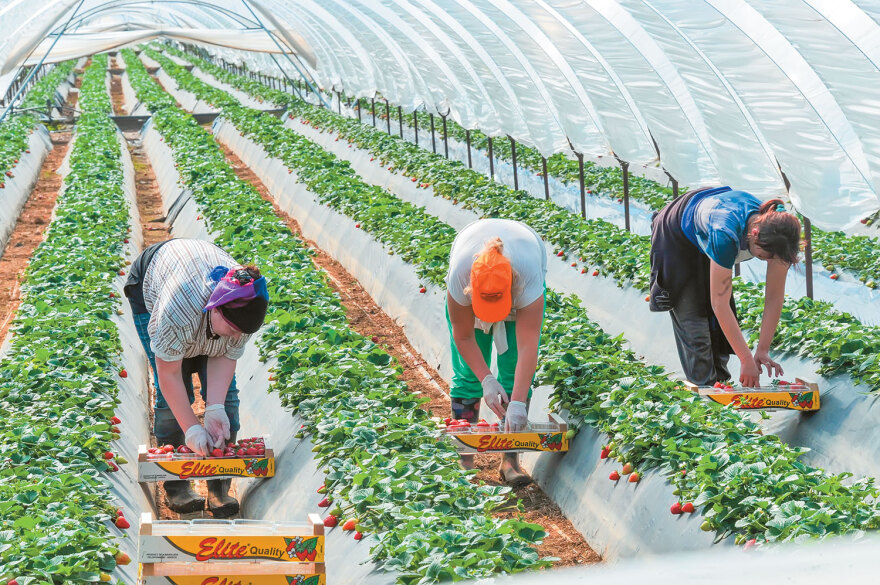 Ο χάρτης με τις 200.000 κενές θέσεις εργασίας σε τουρισμό, αγροτική οικονομία και κατασκευές