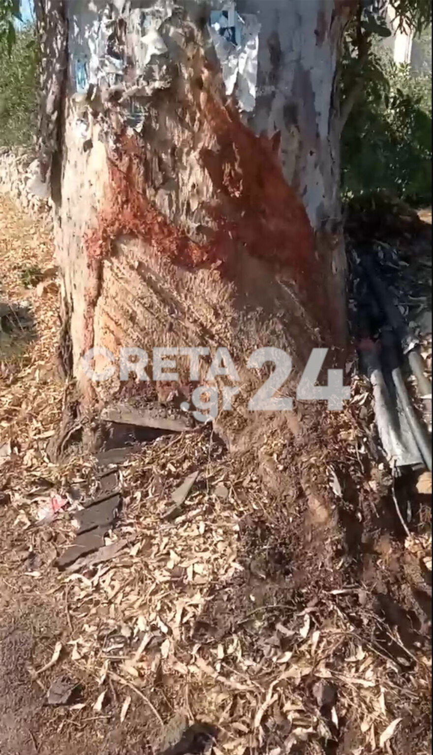 Θρήνος για τον 22χρονο μουσικό Σήφη Γιανναράκη που απανθρακώθηκε στα Χανιά - Δείτε φωτογραφίες από το καμένο όχημά του