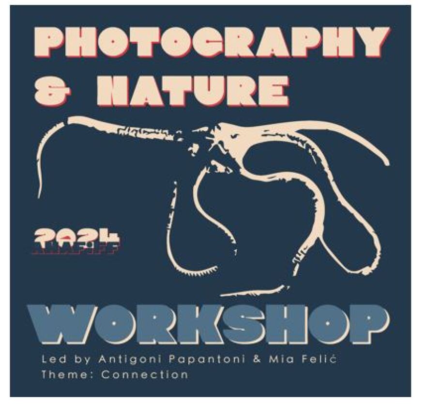 Το 2ο Διεθνές Φεστιβάλ Κινηματογράφου Ανάφης βάζει πλώρη για τις 12-17 Ιούλιου με νέο αέρα - Ανακαλύψτε όλο το πρόγραμμα