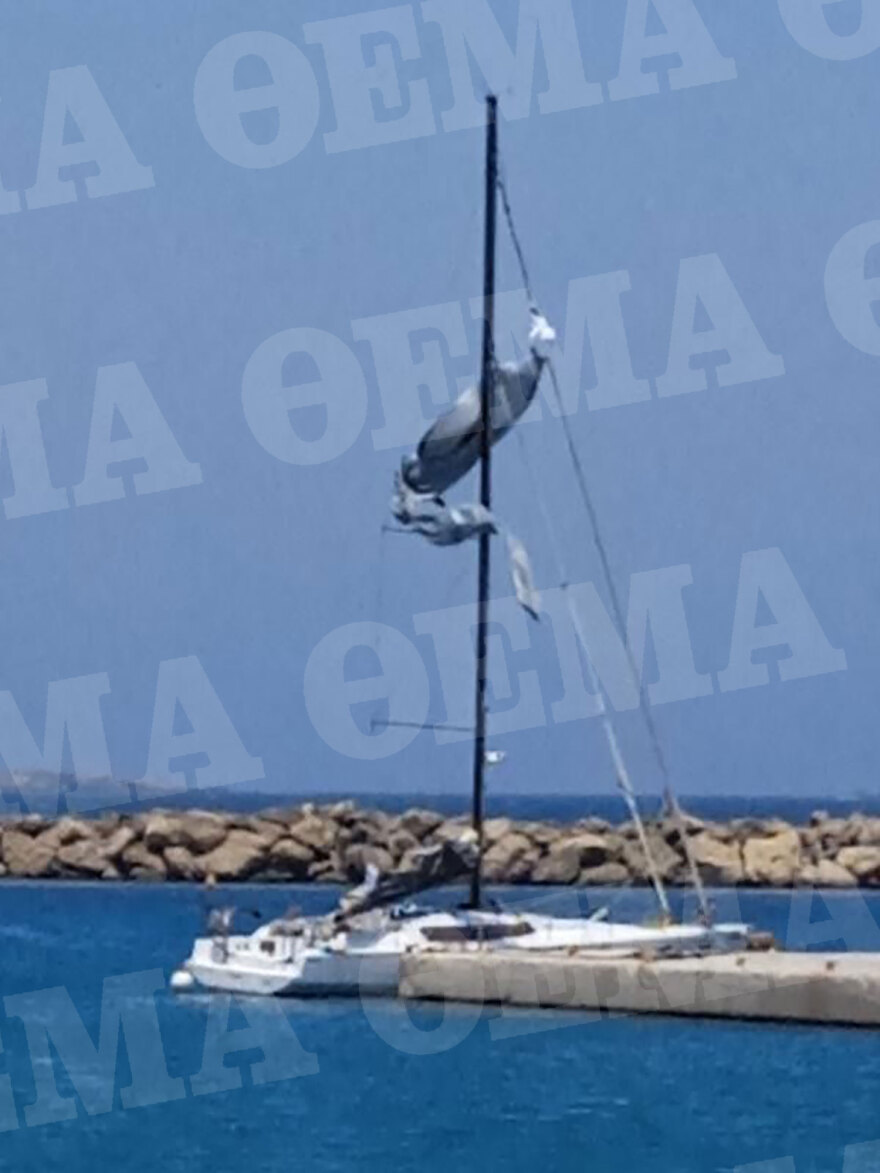 Κάρπαθος: Οι τελευταίες στιγμές της Γαλλίδας ιστιοπλόου - Έπεσε στη θάλασσα και τη χτύπησε πτερύγιο του τιμονιού στο κεφάλι